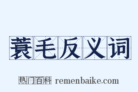 蓑毛反义词是什么意思的图片